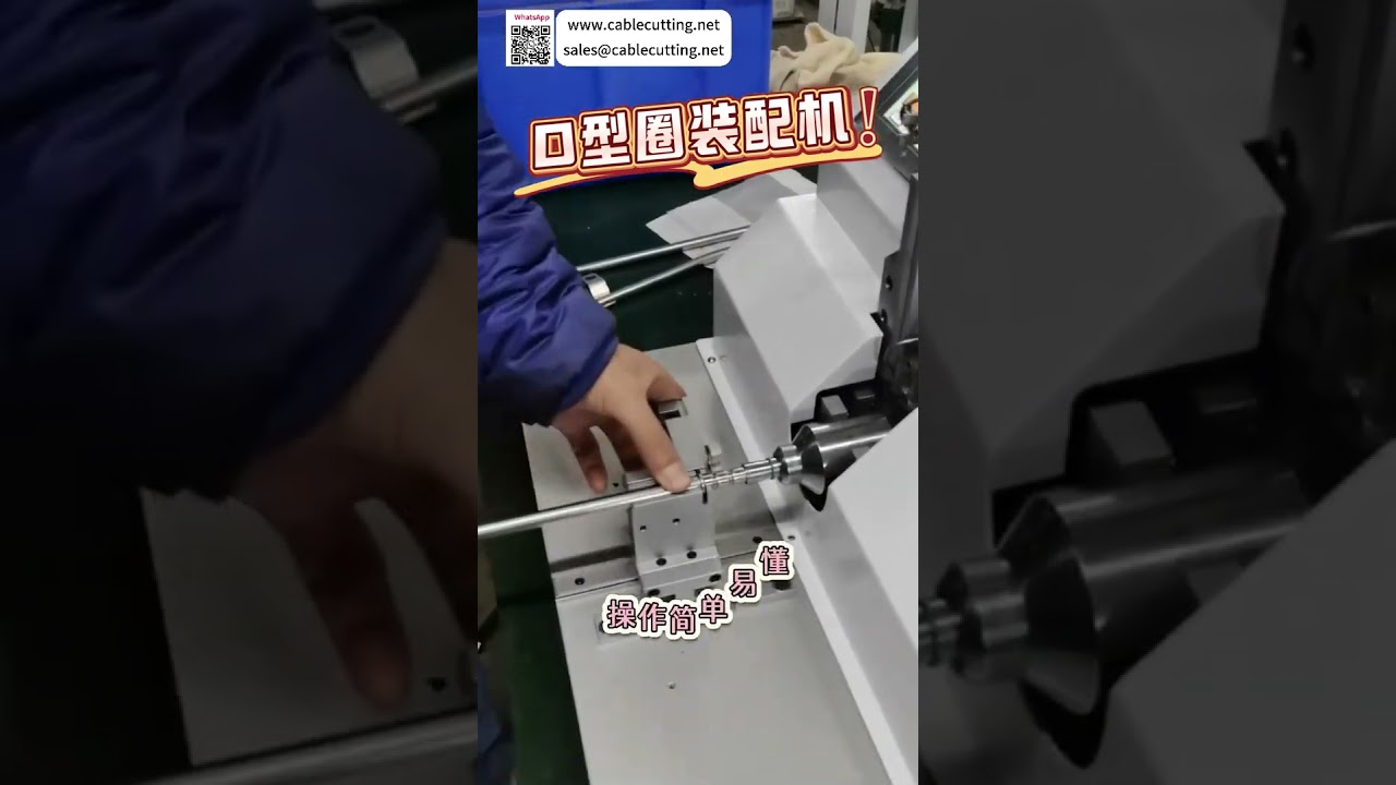 Automatic O Ring Assembly Machine Precision Mechanical Structure Sealing Ring Auto Equipment - Shorts