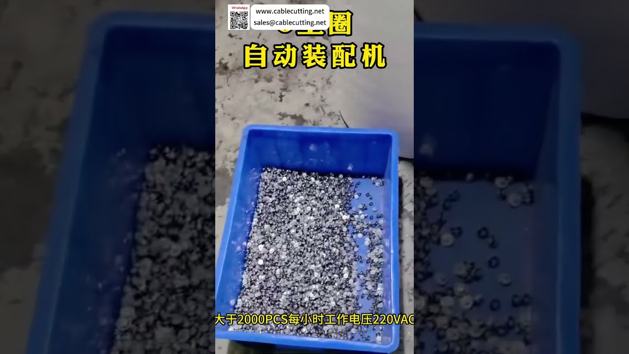 高性价比Model 602 O型圈组装机 | 高精度密封自动化设备