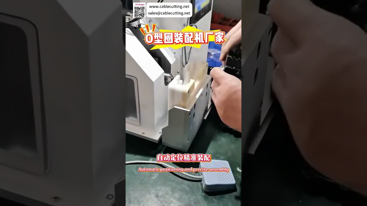 Custom O Ring Assembly Machine High Consistency Automated Sealing Equipment Manufacturer - Shorts