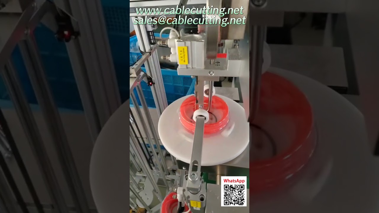 Automatic Blister Winding and Packaging Machine for Trimmer Line