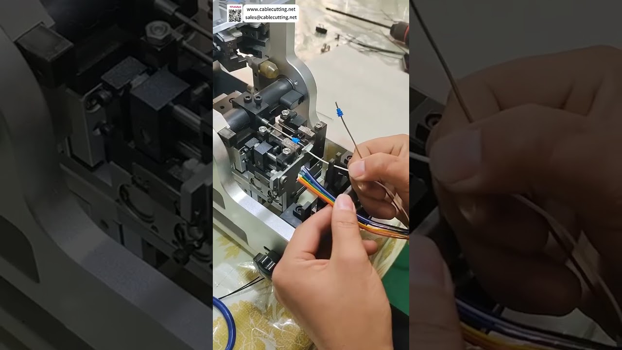 全自动防水密封圈插入机 | 每小时2800件高速组装