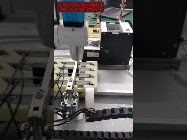 Screw Tighten Robot Servo Screw driver Machine With Auto Feeding System Double Station Automatic Loc