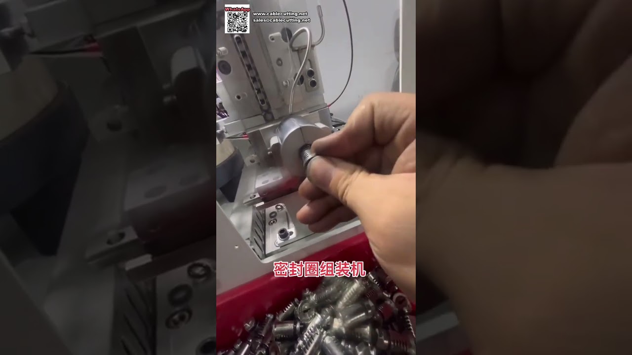 Custom Non Standard Automated Machinery Equipment for Hardware Fittings Factory