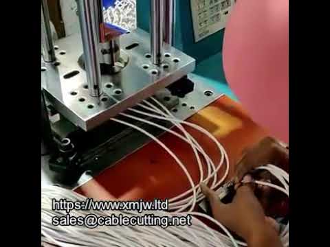 WPM 150 Standard Injection Molding Machine