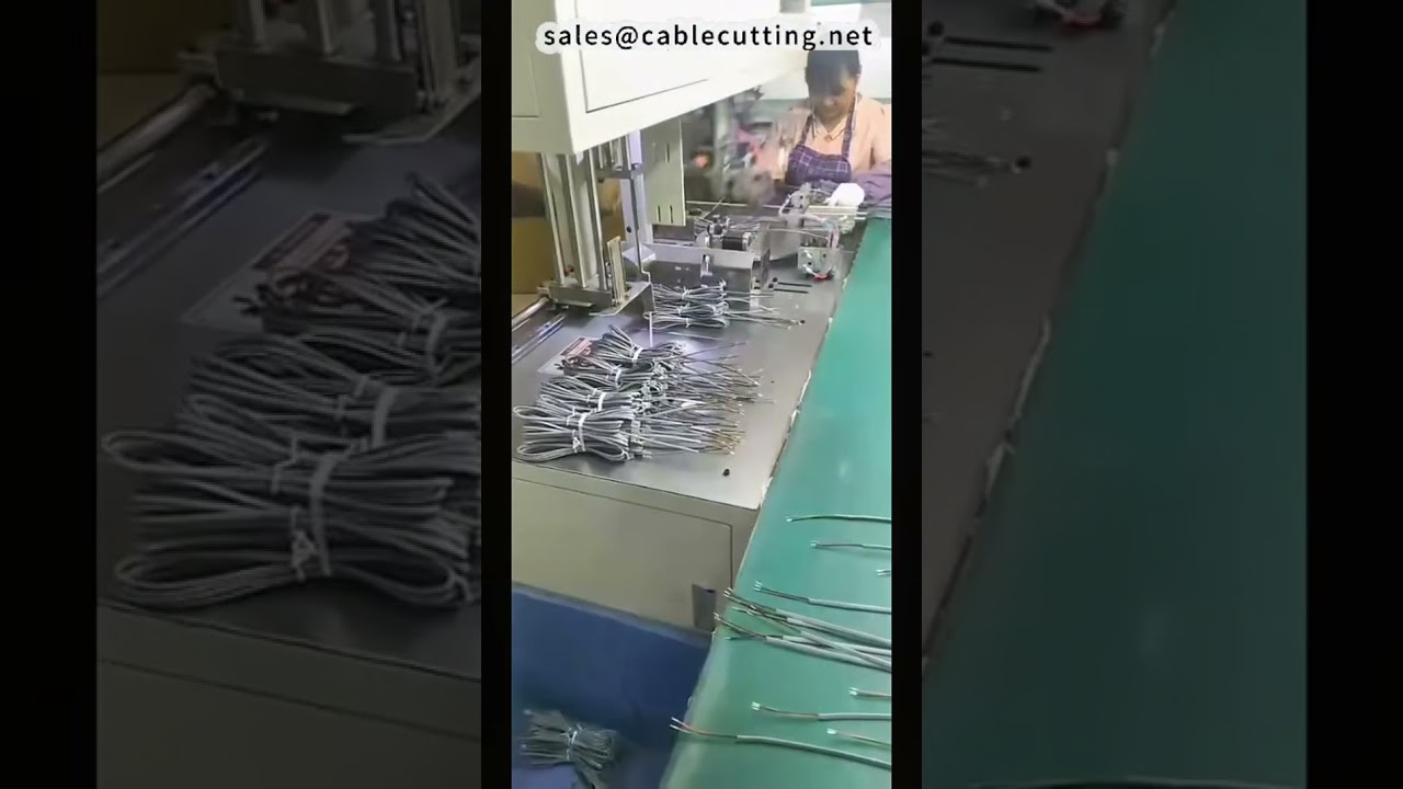 Production Line Auto Soldering   Injection Molding   Auto WindingTying